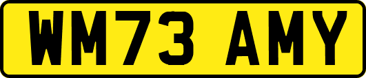 WM73AMY