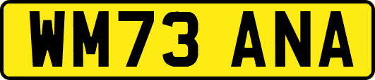WM73ANA