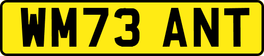 WM73ANT