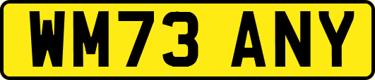 WM73ANY