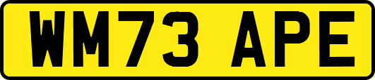 WM73APE