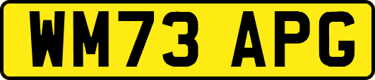 WM73APG