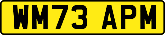 WM73APM