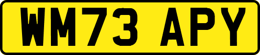 WM73APY