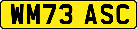 WM73ASC