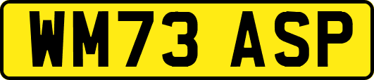 WM73ASP