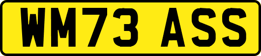 WM73ASS