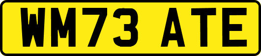 WM73ATE