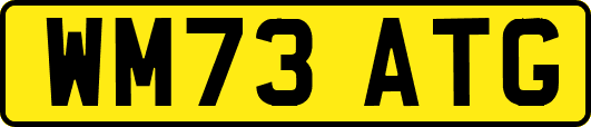 WM73ATG