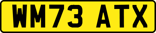WM73ATX