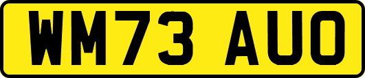 WM73AUO