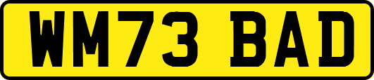 WM73BAD