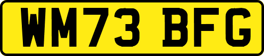 WM73BFG