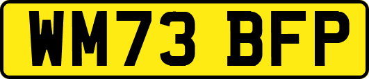 WM73BFP