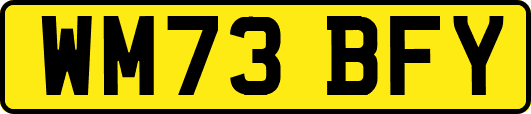 WM73BFY