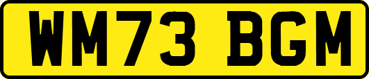 WM73BGM