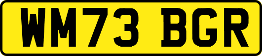 WM73BGR