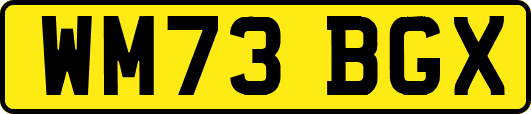WM73BGX