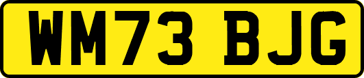 WM73BJG