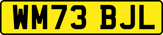 WM73BJL