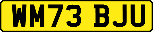 WM73BJU