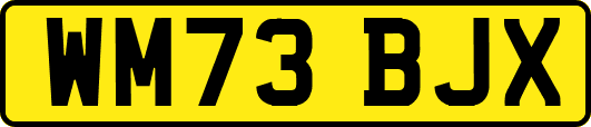 WM73BJX
