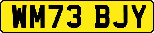 WM73BJY