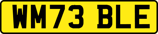 WM73BLE