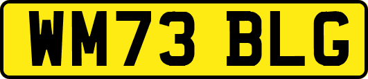 WM73BLG