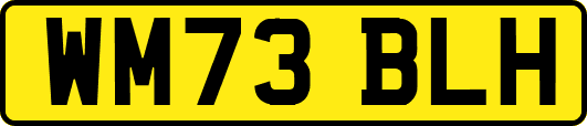 WM73BLH