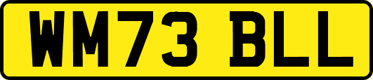 WM73BLL