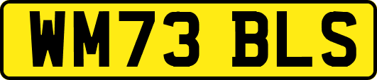 WM73BLS