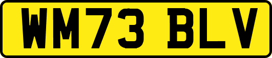 WM73BLV