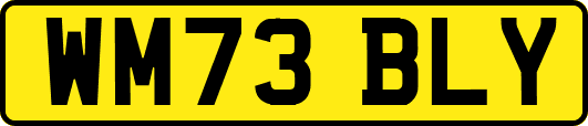WM73BLY