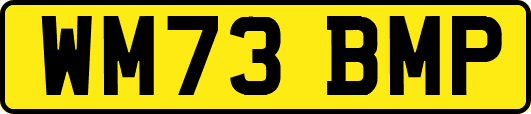 WM73BMP