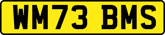 WM73BMS