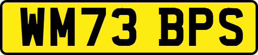 WM73BPS