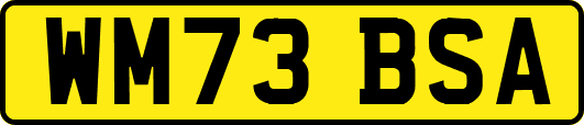 WM73BSA