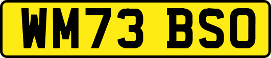 WM73BSO