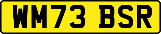 WM73BSR