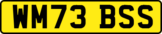 WM73BSS