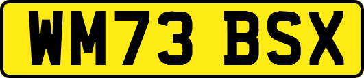 WM73BSX