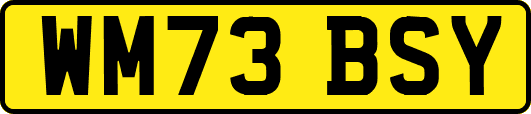 WM73BSY
