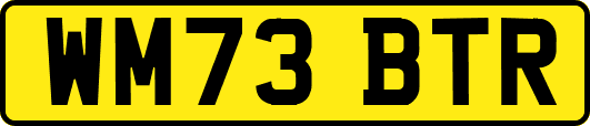 WM73BTR