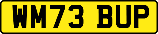 WM73BUP