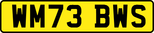WM73BWS