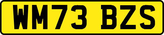 WM73BZS