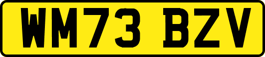 WM73BZV
