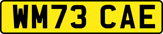 WM73CAE