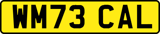 WM73CAL